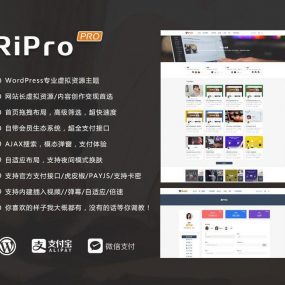 【WordPress主题】RiProV7.1主题最新破解去授权无限制版本