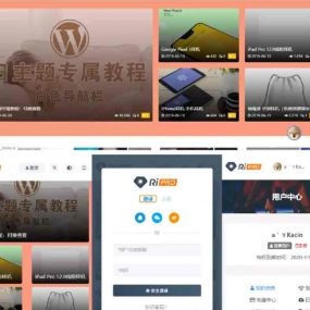 RiPro主题最新解锁去授权无限制版本(更新至8.7）