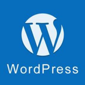 wordpress如何用二级域名