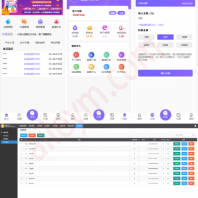 V8版本京东淘宝自动抢单系统源码，利息宝，会员开通全开，附视频教程