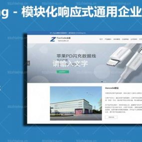 完美兼容PC,手机,平板端Zing模块化响应式通用企业商城WordPress主题V2.2.1版